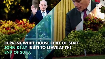 Trump Considering Jared Kushner For White House Chief of Staff