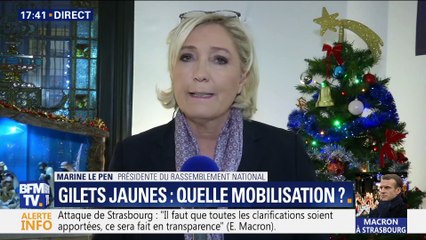 Crise des gilets jaunes: "Plus aucun Français ne comprend où va le gouvernement", Marine Le Pen