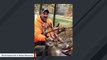 Illinois Hunter May Have Set US Record For Largest Known Buck Ever Killed