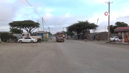 Somali'nin Yeşil Zehri: Gat- Neredeyse Tüm Ülke Bu Ota Bağımlı Yaşıyor- Yoksulluk ve İç Savaşla...