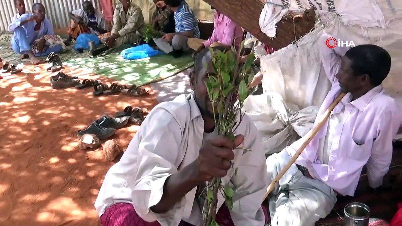 - Somali’nin Yeşil Zehri: Gat- Neredeyse Tüm Ülke Bu Ota Bağımlı Yaşıyor- Yoksulluk Ve İç Savaşla Mücadele Eden Somali, Bir Taraftan Da Gat Bağımlılığı İle Boğuşuyor