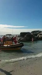 Arrivée du Père Noël