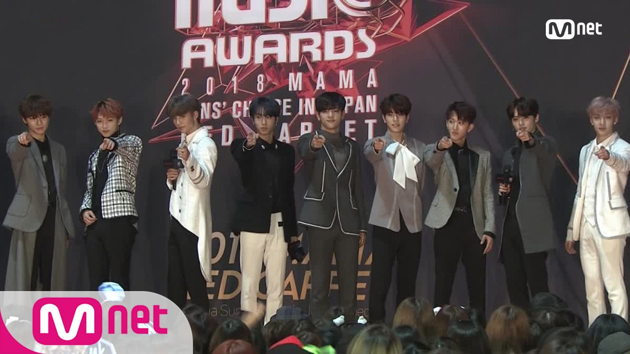 Red Carpet with Stray Kids(스트레이 키즈)│2018 MAMA F...