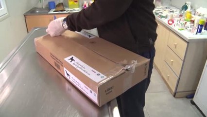 Geri Dönüşüme Ayrılan Beyaz Eşyalar Felçli Köpeklere Yürüteç Oluyor