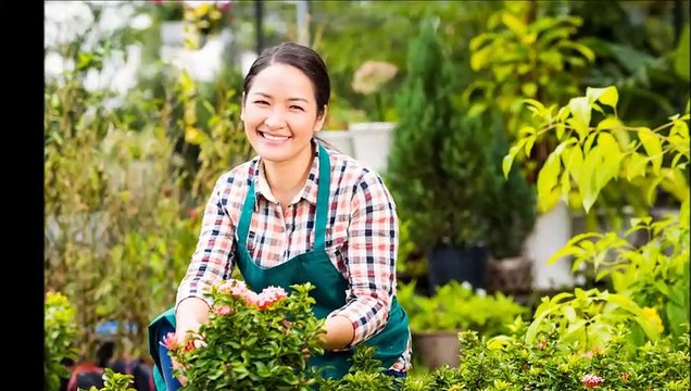 Tree Lopping Ermington