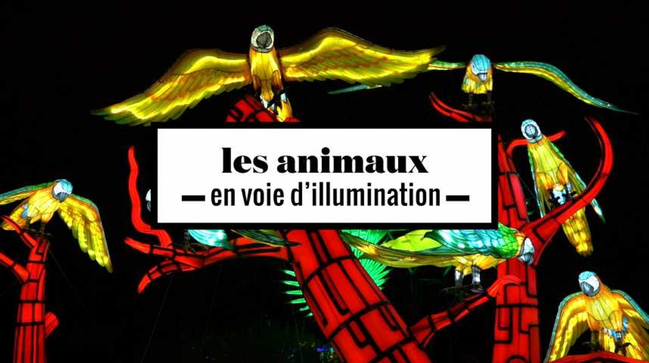 2 minutes avec les animaux en voie d'illuminati...