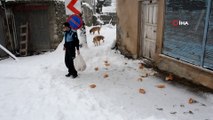 Ordu'da Kar Yağışı: Yüksek Kesimlerde Kar Kalınlığı 30 Santime Ulaştı