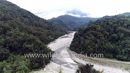 Fly over pristine rain forest in Arunachal in Simang river gorge