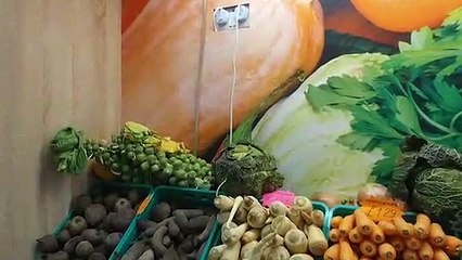 The Mothers Rock Club!