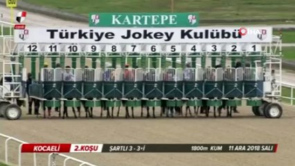 Jokeyini düşüren at yarışı ilk sırada tamamladı