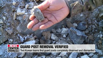 Two Koreas wrap up one-day joint inspection to verify removal of frontline guard posts in DMZ