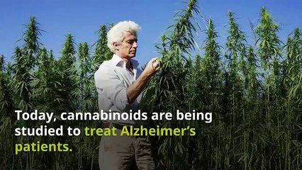How CBD can help treat Alzheimers?