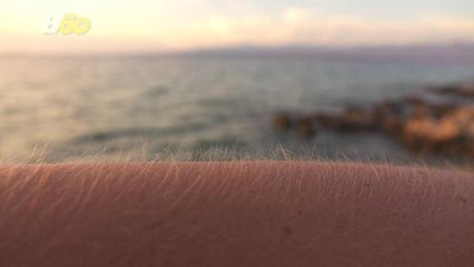 Study Suggests Goosebumps May be the Key to Curing Baldness