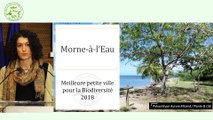 5 - Remise du trophée à la ville de Morne-à-l'Eau