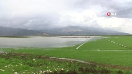 Hatay'da Tarım Arazileri Sular Altında Kaldı