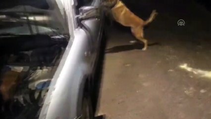 Uyuşturucu zanlısı 'F. Gülen' ibareli kol saatiyle yakalandı - BİTLİS