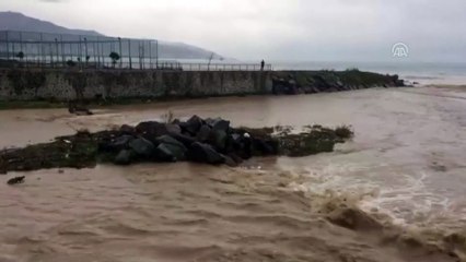 Trabzon'da dereye düşen köpek kurtarıldı