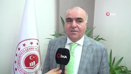 Batman'da Bin 17 Ağacın Kesilmesi Önlendi