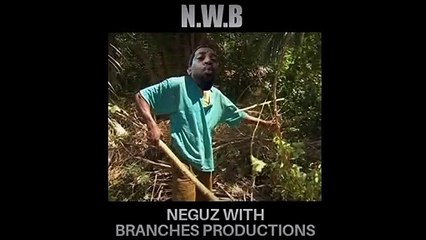 Rasta Negus Dewormer - Jambalaya Kennels - Likehova TV - Jambalaya's Mayweather POR - Pitbull - Gamedog - APBT