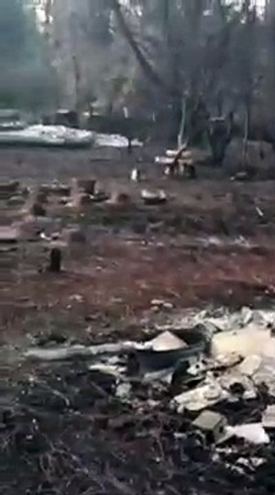 Elle retrouve son chat un mois après les incendies de Camp Fire (Californie)