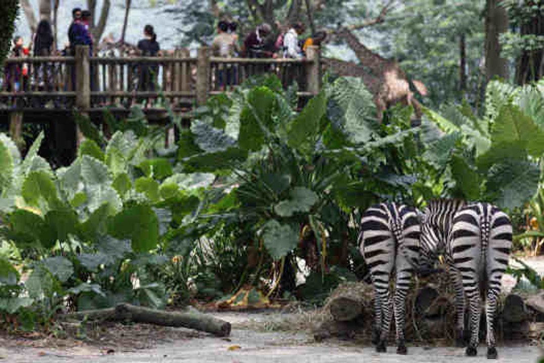 The most beautiful zoos of the world