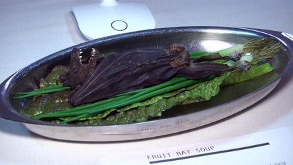 افتتاح "متحف الأطعمة المقرفة" في لوس انجليس