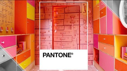 Living Coral Wants to Bring Positivity to 2019