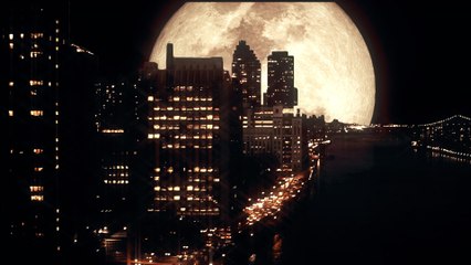 Neil Diamond - Moonlight Rider