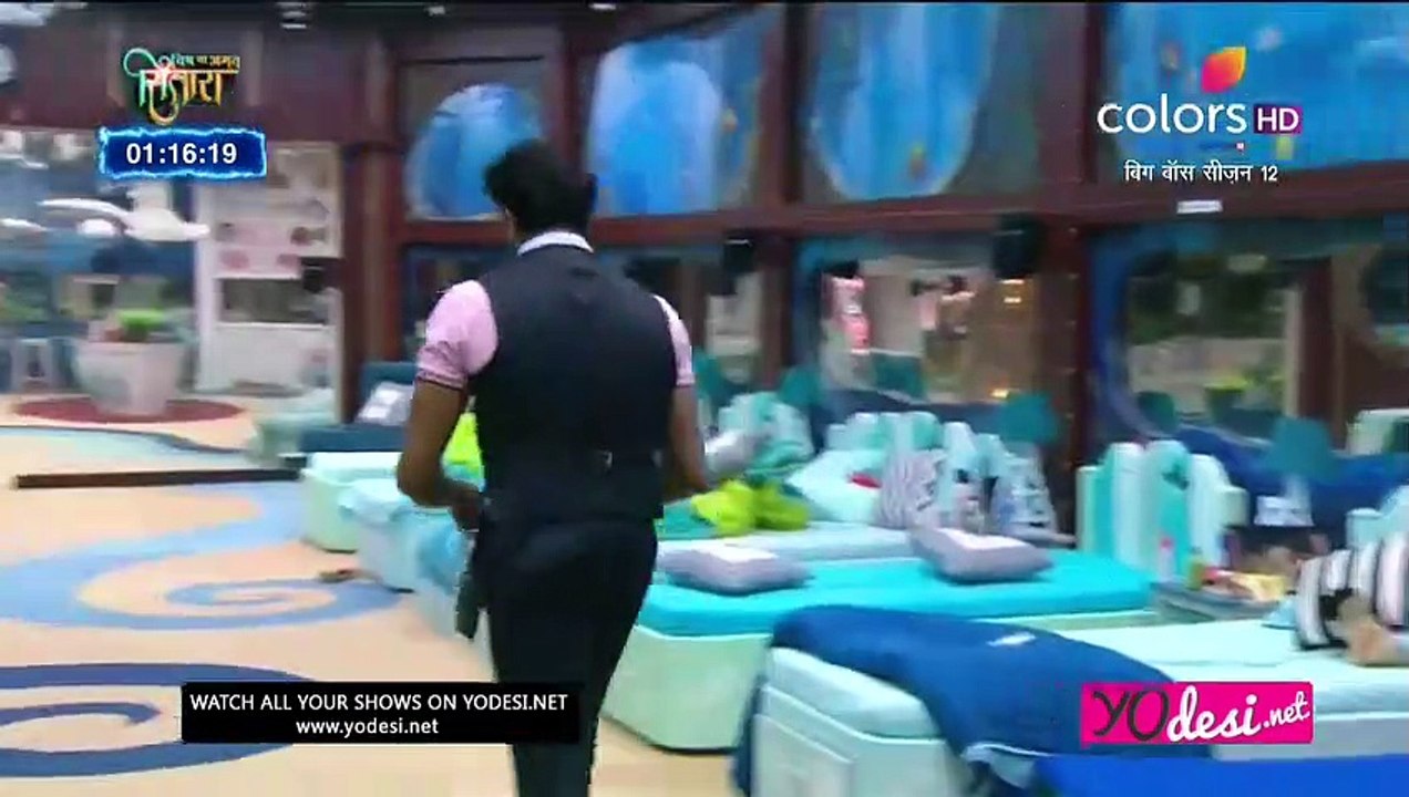 12 bosss-12-12-p2