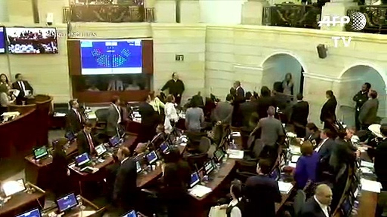 Ratos no congresso
