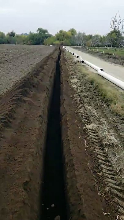 Travail de fermier ? Une patience de dingue...