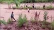 Niños peruanos arriesgaron sus vidas para ir al colegio al cruzar un río crecido