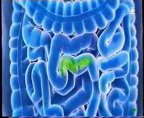 Prebioticos y microbiota intestinal: El almidon resistente