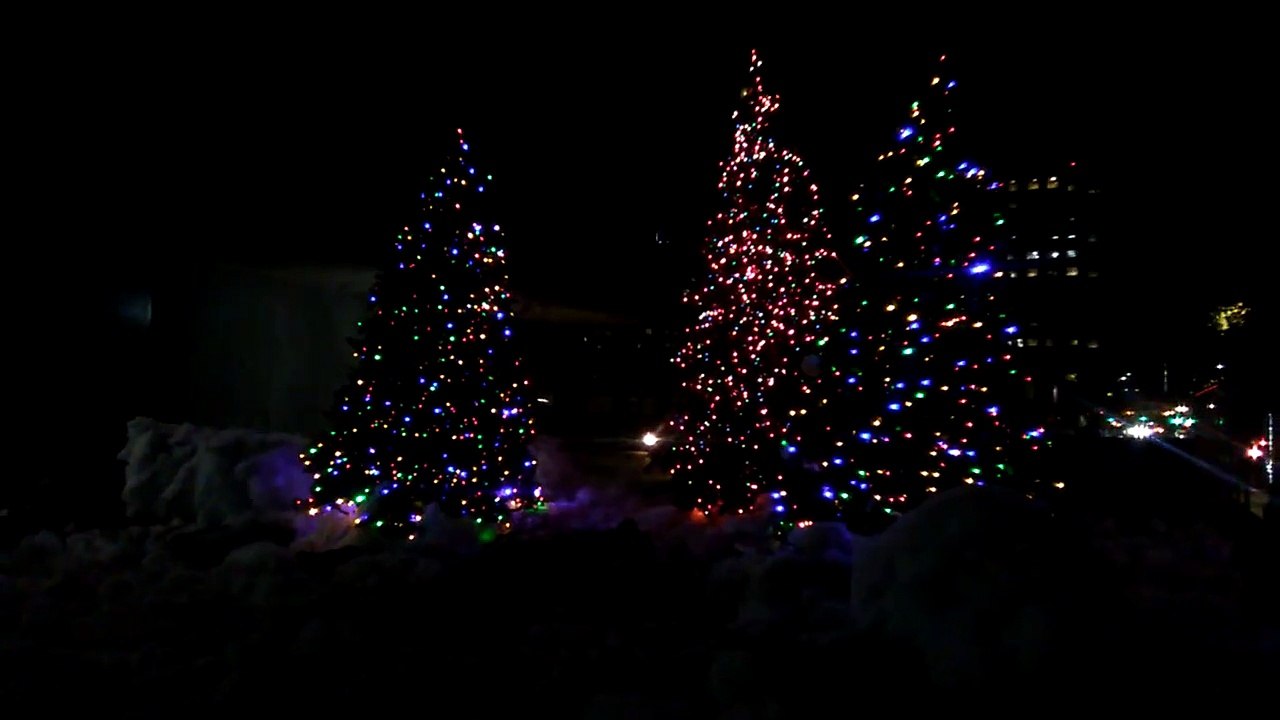 Des sapins de Noël à San Jose, CA, USA, en Décembre 2018