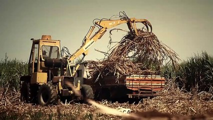 Cerrado: berço das águas do Brasil