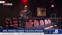 Movie Theater For Dogs And Their Humans Opens In Texas