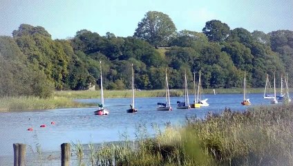 A louer - Appartement - VILLEURBANNE (69100) - 2 pièces - 44m²