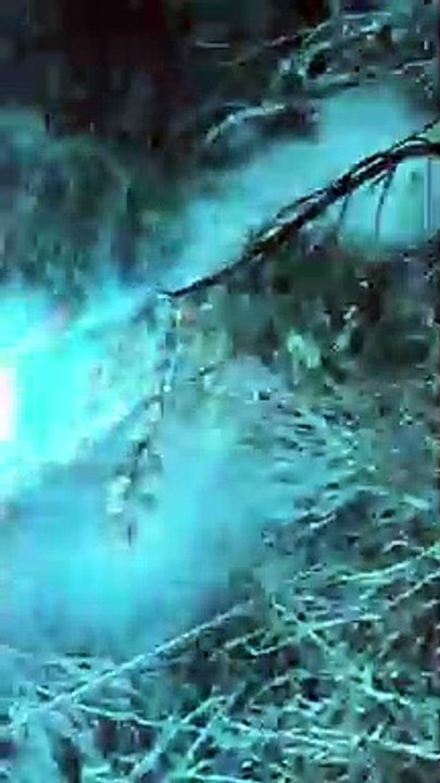 Une tempête de neige fait exploser des lignes électriques et c'est fabuleux pour les yeux