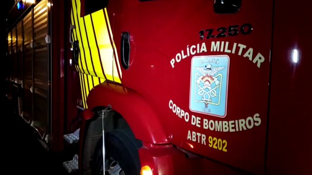 Suposto incêndio em árvore mobiliza Bombeiros