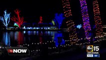 Catching up with the reindeer at Phoenix ZooLights!