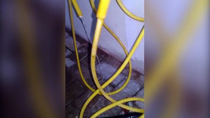 Internauta reclama de abastecimento de água no Montreal