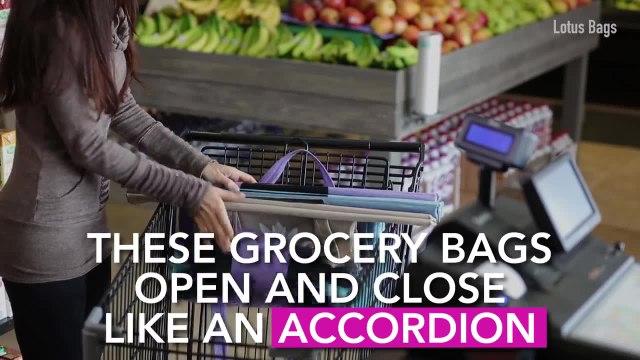 The Ultimate Shopping Organizer