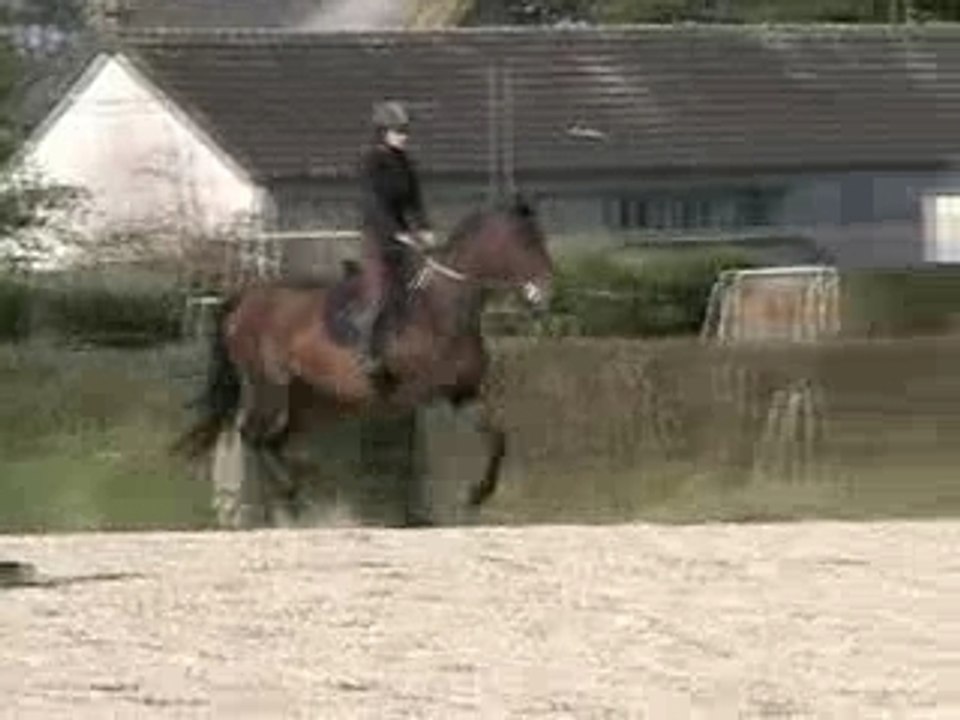 Papaye obstacle oct 2007 1ère partie