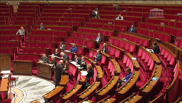 2ème séance : Exercice des praticiens diplômés hors UE (suite) ; Réforme de la caisse des français de l'étranger - Mercredi 12 décembre 2018