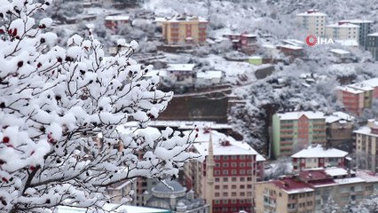 Kar yağışı kartpostallık görüntüler oluşturdu, 41 köy yolu ulaşıma kapandı