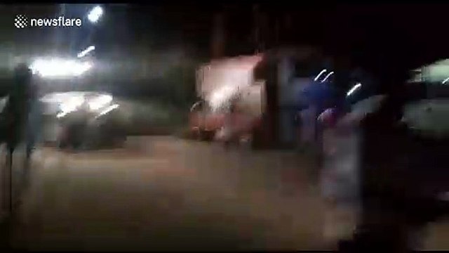 Panic, chaos among residents as herd of elephants stray into South Indian town overnight