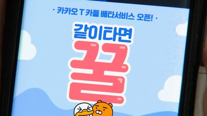 카카오, 17일 예정된 카풀 서비스 내년으로 연기 / YTN