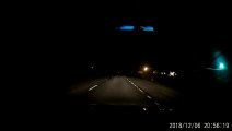 Bear Dashes Across Dark Road