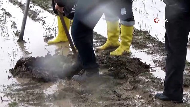 Muş'ta Fırtına Elektrik Direklerini Devirdi