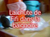Fifi tombe dans la baignoire (sans mal !)
